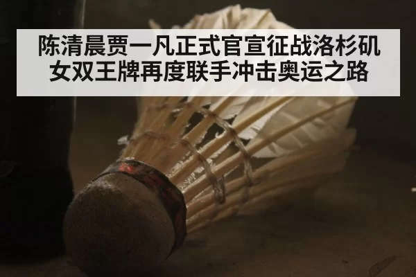 陈清晨贾一凡正式官宣征战洛杉矶女双王牌再度联手冲击奥运之路