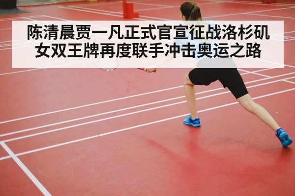 badminton court competition